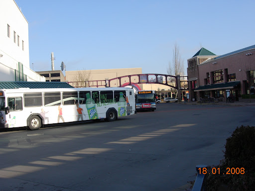 Eugene Bus Stop - Visual