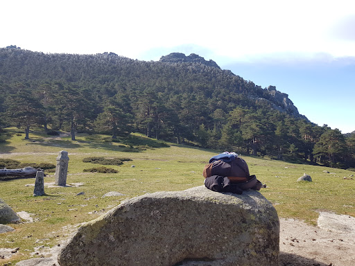 7 picos - Visual