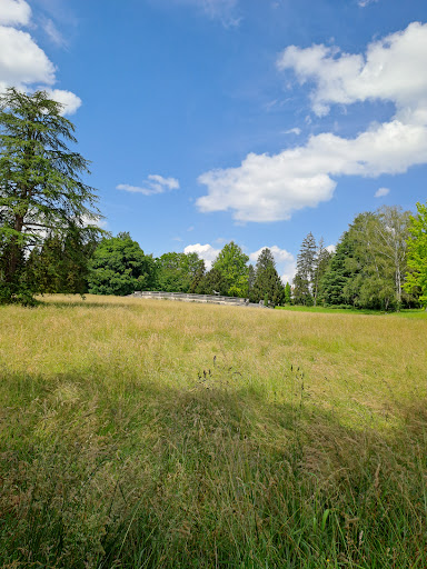 Wenkenrössli - Thumbnail