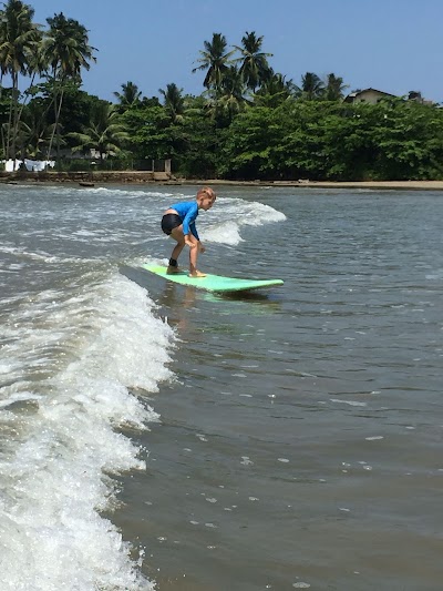 Photos of Aloha Sun Surf School