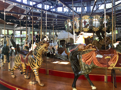 Coolidge Carousel - Visual