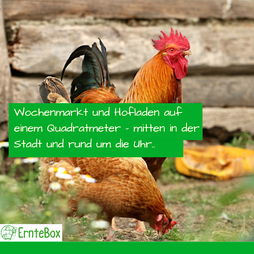 Erntebox - Der Hofladenautomat Ammerland Straße 3, 81476 München Gallery - Germany