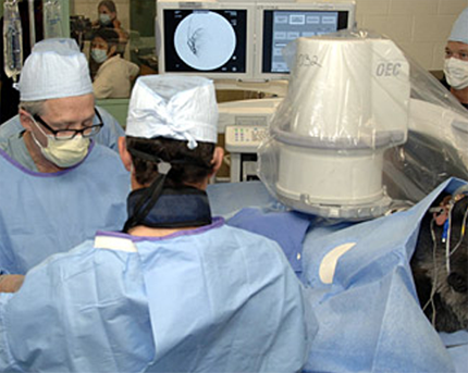 Vascular Interventional Professionals