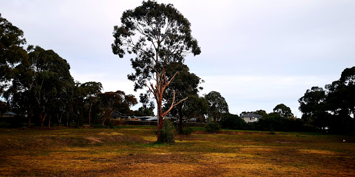 Croydon South Park - Thumbnail