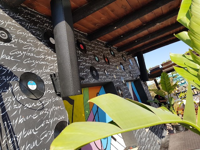 Cozy bar