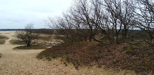 Capucijnenburgh