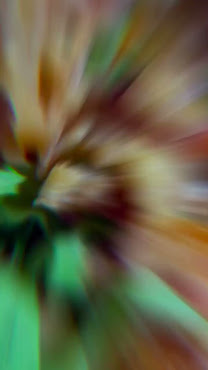 The Montrose Country Club by null