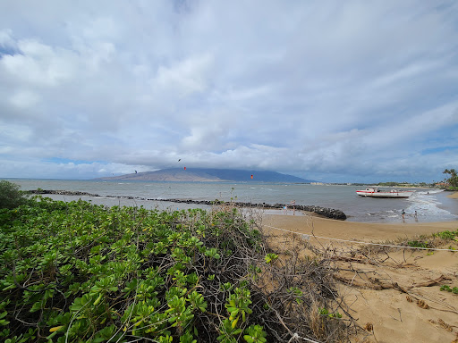 Hawaiian Islands Humpback Whale National Marine Sanctuary Visitor Center - Thumbnail