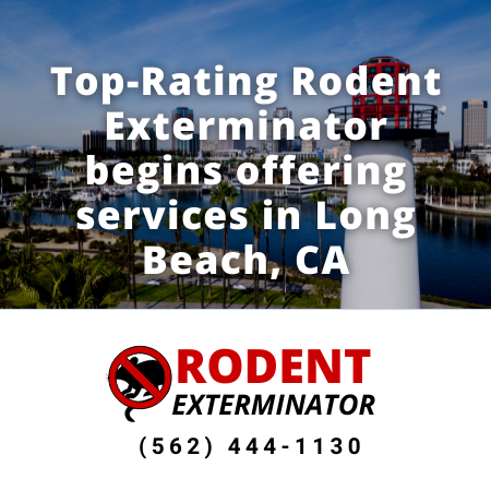 Top rating rodent exterminator in Long Beach