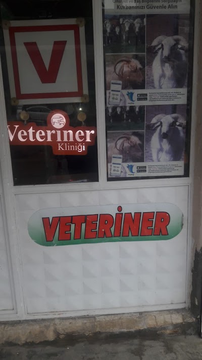 Sinan Veteriner Klinigi