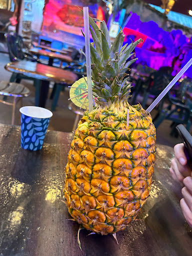 Cuckoo Coconuts - Visual
