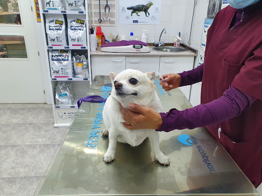 Clínica Veterinaria Barcelona