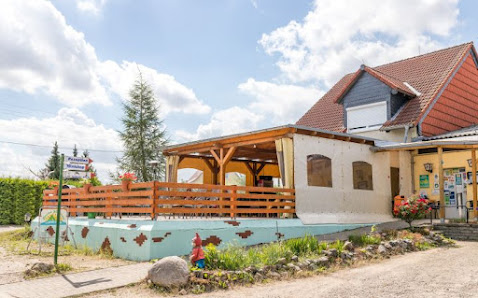 Camping am See - Halberstadt