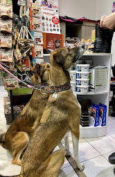 Photo n°20 de Michette Magasin d'accessoires et alimentation pour chiens et chats à Paris (Animalerie)