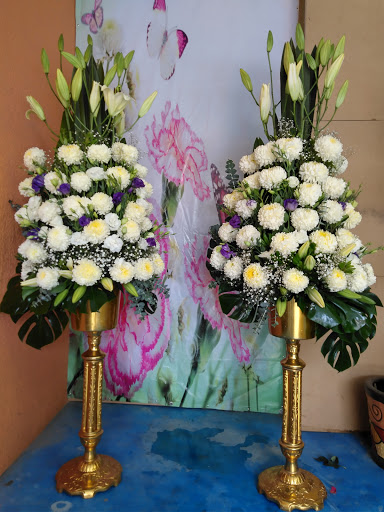 Hersan Florería - Visual