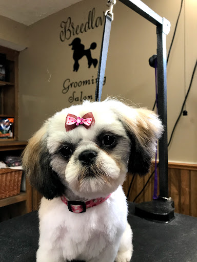 Breedlove Grooming Salon & Spa - Thumbnail