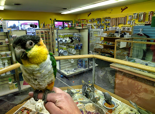 Parrots N Stuff - Thumbnail