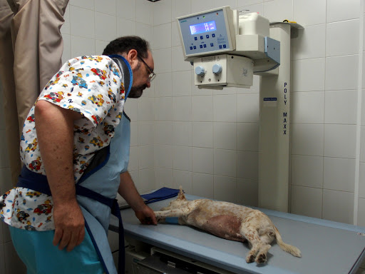 Clínica Veterinaria Dr. Sánchez del Río