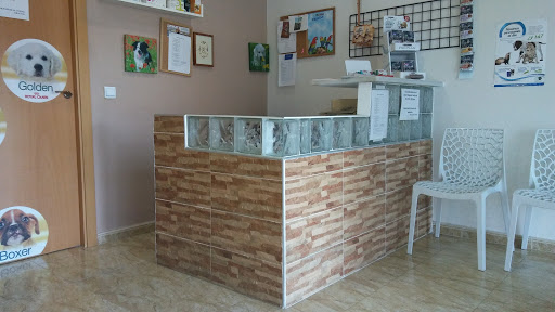Maxivet Veterinaria - Thumbnail
