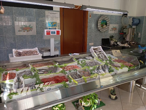 Fish Shop - Visual