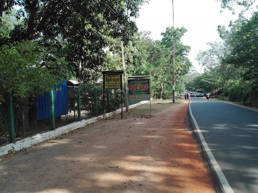 Samarasekara Pilgrims Rest, Author: Supun Budhajeewa