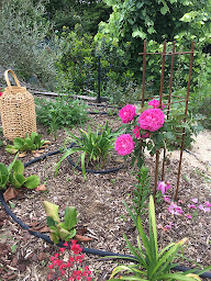 Photo n°35 de Gîte et Chambres d'hôtes Les Perrettes à Château-Gontier-sur-Mayenne (Villa)