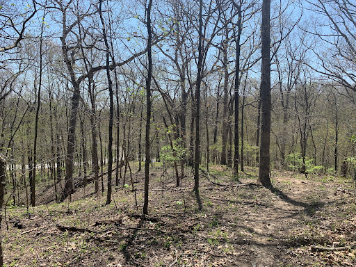 Route 66 Hike & Bike Trail at Lake Lou Yaeger - Thumbnail