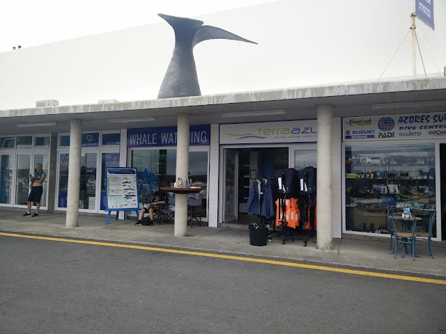 Azores Whale Watching TERRA AZUL™