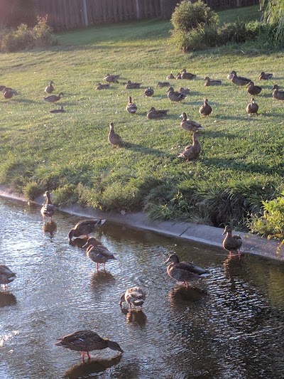 Williamsburg Village Park