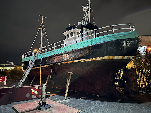 Seabird (citizen sea)