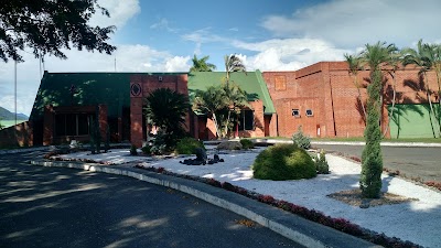 Photos of Hotel Los Vi&ntilde;edos