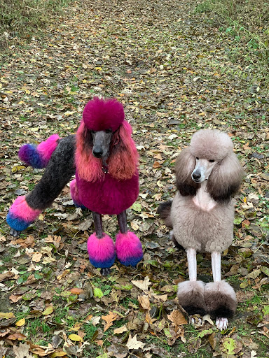 The Pawlor - Thumbnail