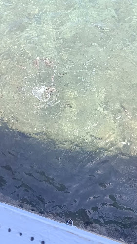 Opinii despre Restaurant Parthenon - Koroni - restaurant, greek food, food în Καλαμάτα - Εστιατόριο