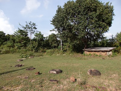 Photos of Pulukunawa Raja Maha Viharaya