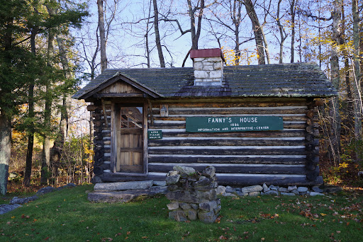 Forest Society North at The Rocks - Thumbnail