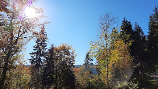 Wanderparkplatz Seitzental Logo