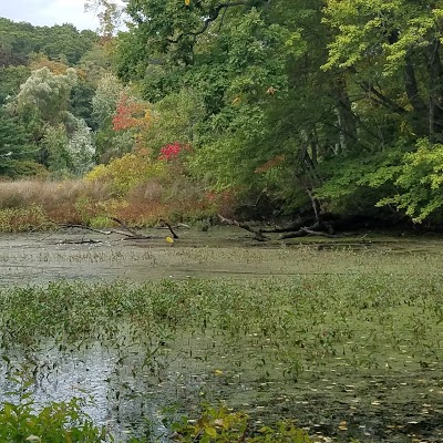 Pocasset Cemetery Bridge Fishing