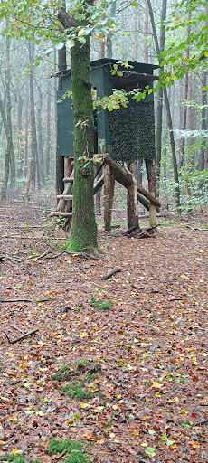 Wild observatie post - Thumbnail