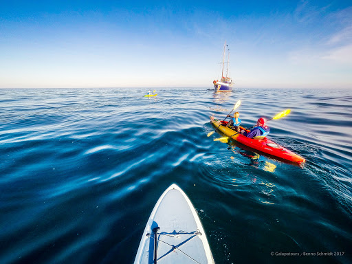 CNH Tours - Galapagos, Antarctica and more Gallery - Canada