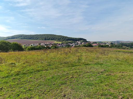 Weißenborn-Lüderode - Visual