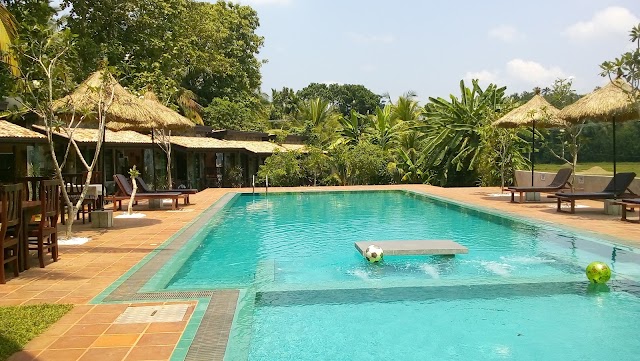 Pinnawala Elephant Orphanage