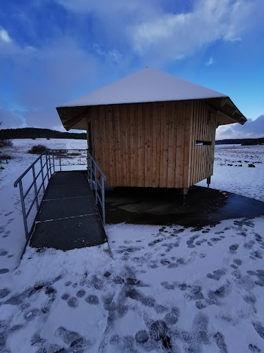Vogelbeobachtung Münsingen - Thumbnail