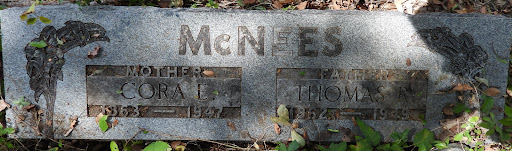 Litchfield Cemetery (aka Parish Family Cemetery) - Thumbnail