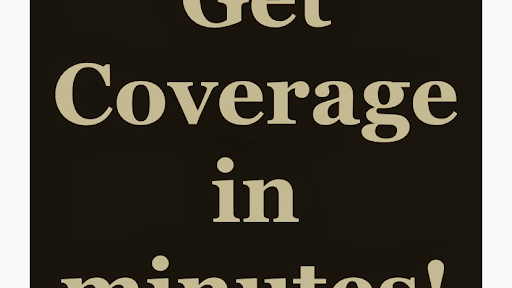 Timeline insurance group - Thumbnail