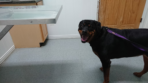 Animal Care Center of Strasburg - Thumbnail