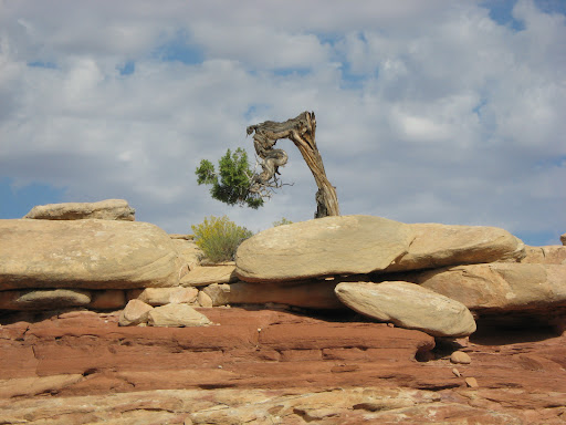 Confluence Overlook - Visual