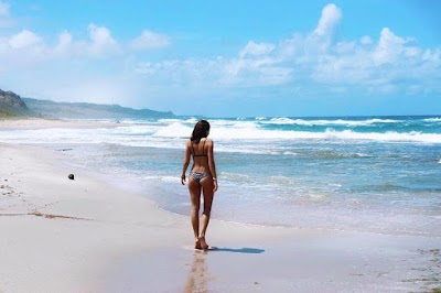 Photos of Sea Reinas &reg;