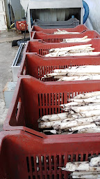 Photo n°11 de EARL DU GRAND VERGER à Saugon (Agriculteur)