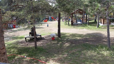 Kastamonu Urban Forest