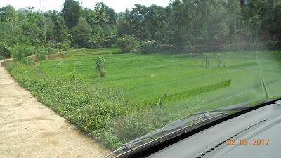 Photos of Elliyadda Village